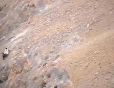 PG游戏官网登录入口-新疆天山雪豹遭遇逆转，连败境地