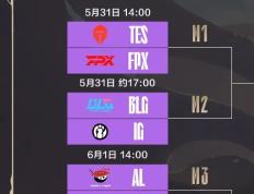 PG平台-FNC碾压TES，BDD关键团战开团秒人顶尖较量八强赛，强势挺进下一轮的简单介绍