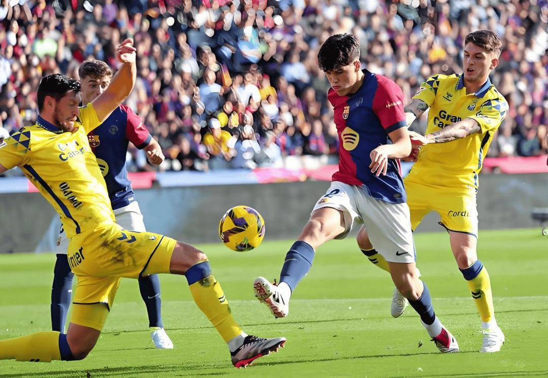 PG平台-里尔迎战昂热，主场拼尽全力的简单介绍